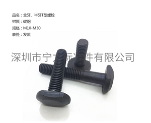 全牙、半牙T型螺栓